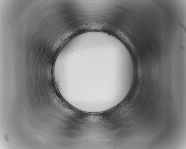 X0000102280537200808151930