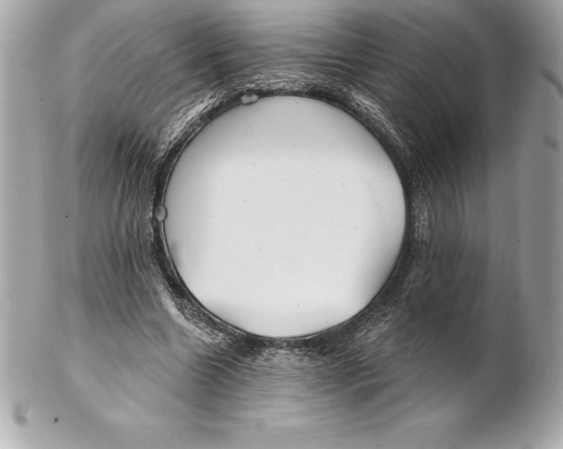 X0000102280538200808151930