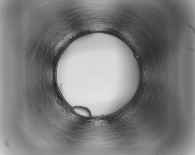 X0000102280539200808151930