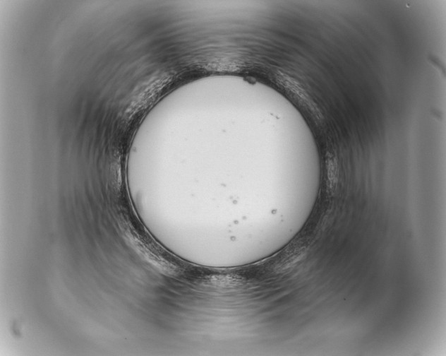 X0000102280541200808151930