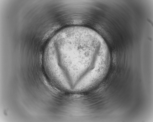 X0000102280542200808151930