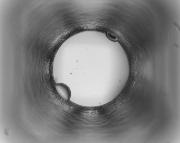 X0000102280543200808151930