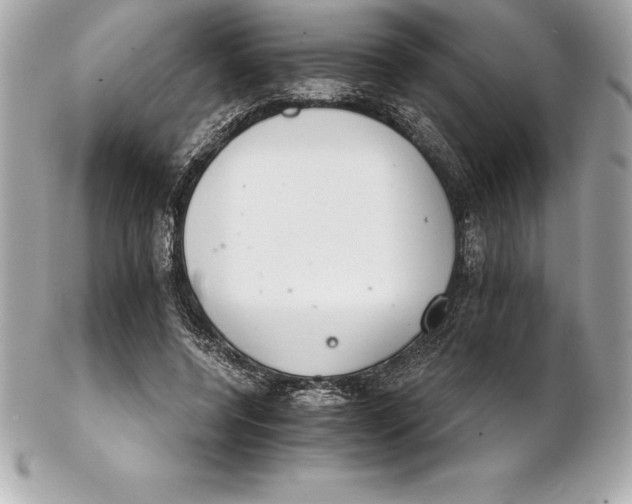 X0000102280544200808151930