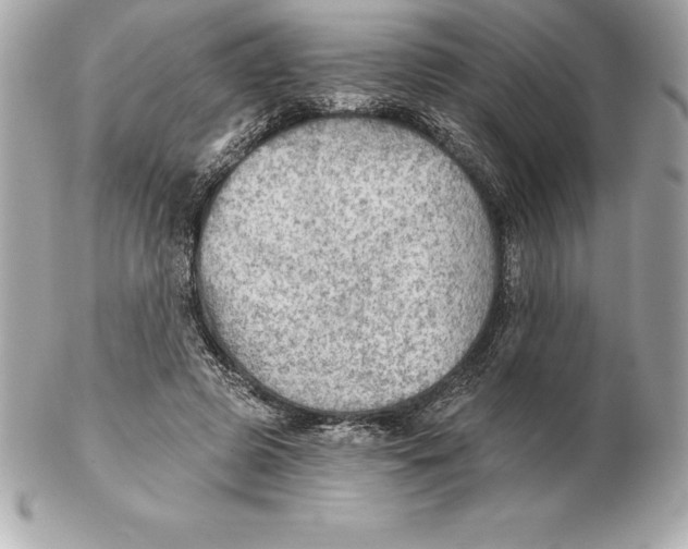 X0000102280545200808151930