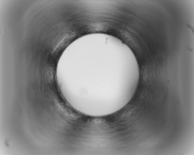 X0000102280546200808151930