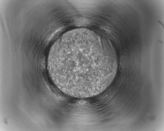 X0000102280547200808151930