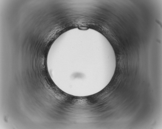 X0000102280548200808151931