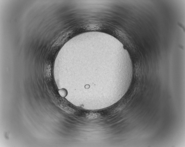 X0000102280549200808151931