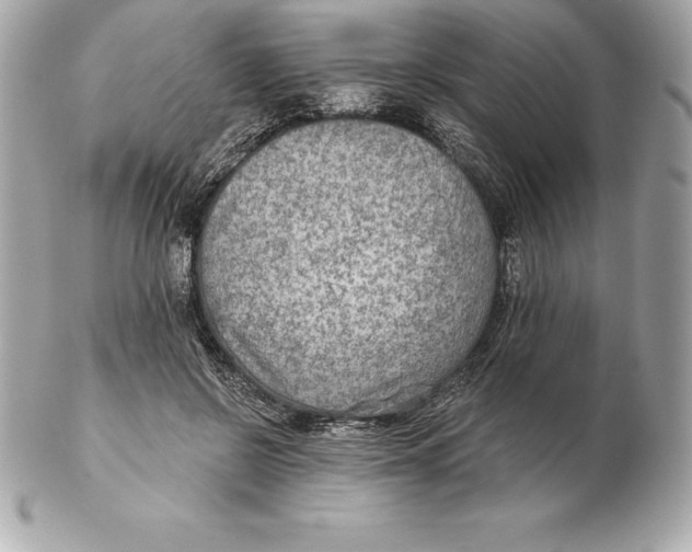 X0000102280550200808151931