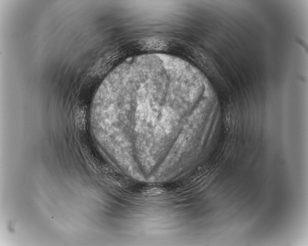 X0000102280551200808151931