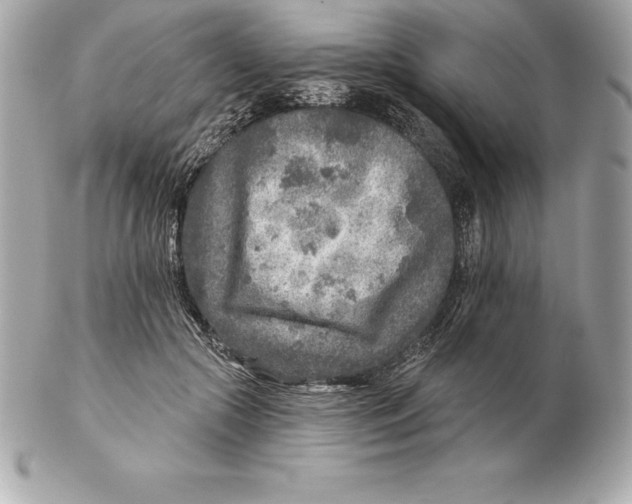 X0000102280553200808151931