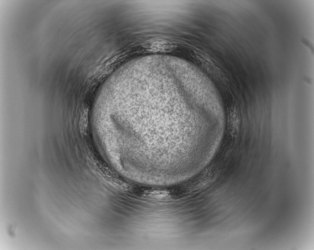 X0000102280554200808151931