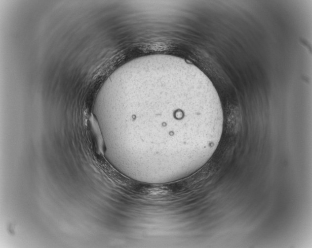 X0000102280555200808151931