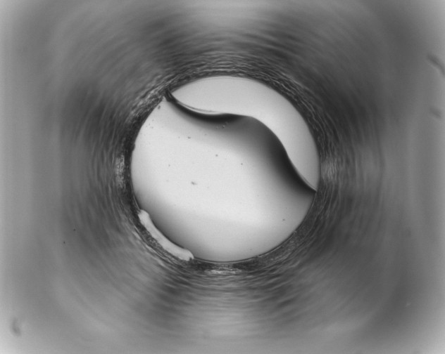 X0000102280556200808151931