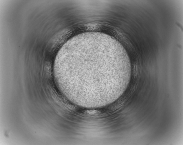 X0000102280557200808151931