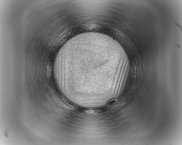 X0000102280558200808151931