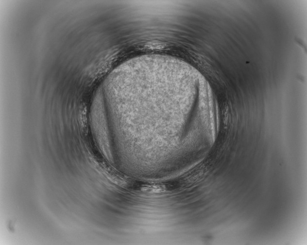 X0000102280559200808151931