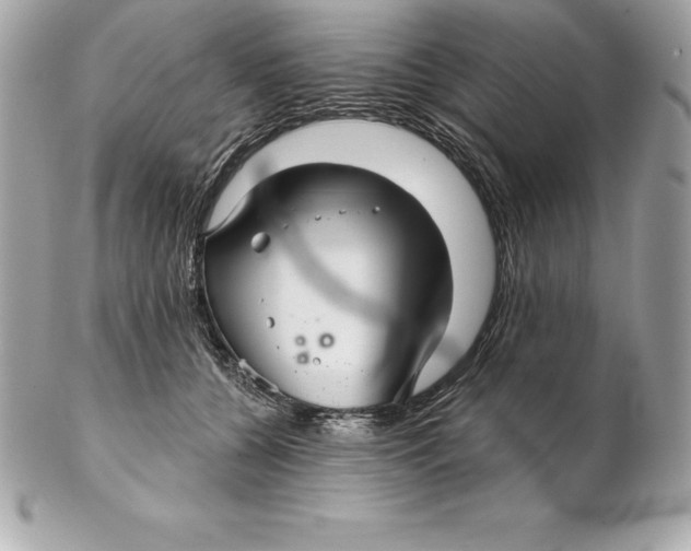 X0000102280560200808151931