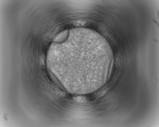 X0000102280561200808151931