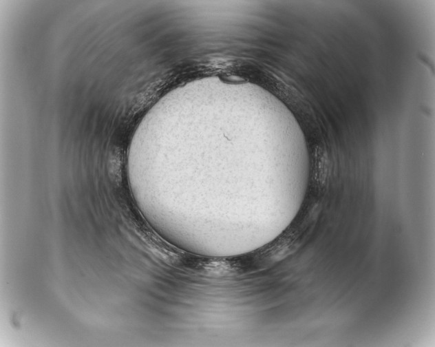 X0000102280562200808151931