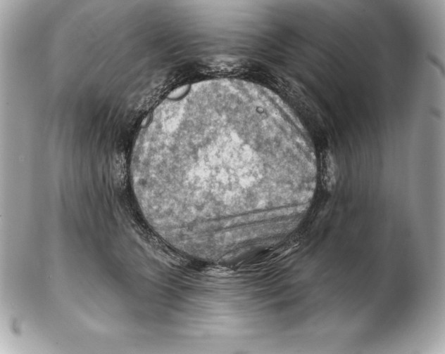 X0000102280563200808151931