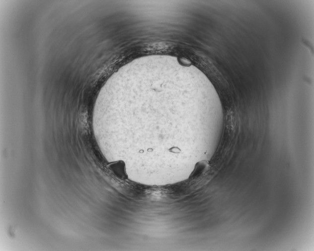 X0000102280564200808151931