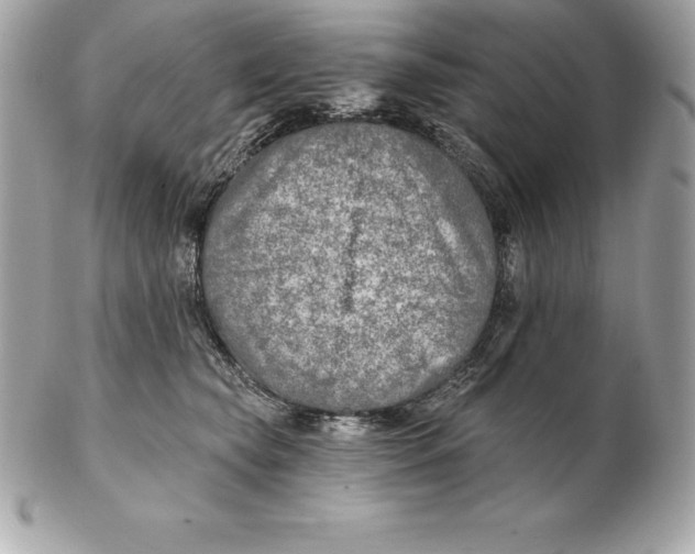 X0000102280565200808151931