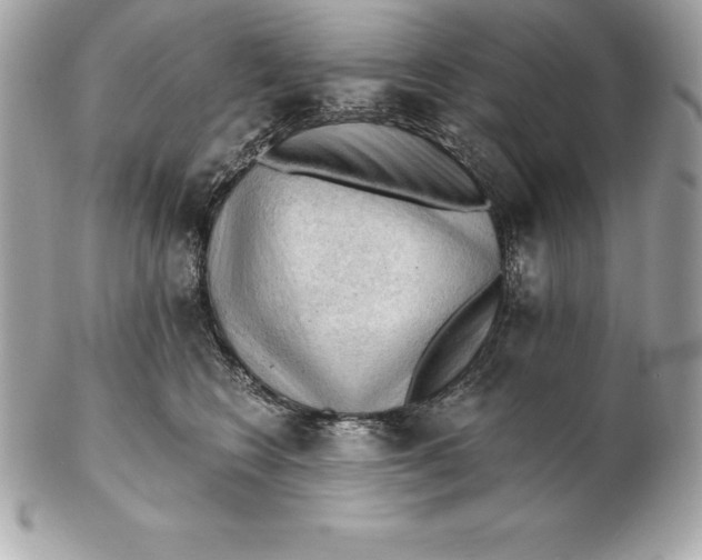 X0000102280566200808151931