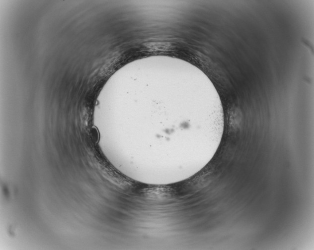 X0000102280567200808151931