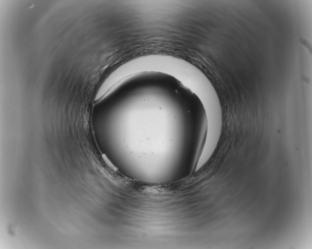 X0000102280568200808151931