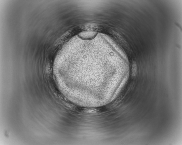 X0000102280569200808151931