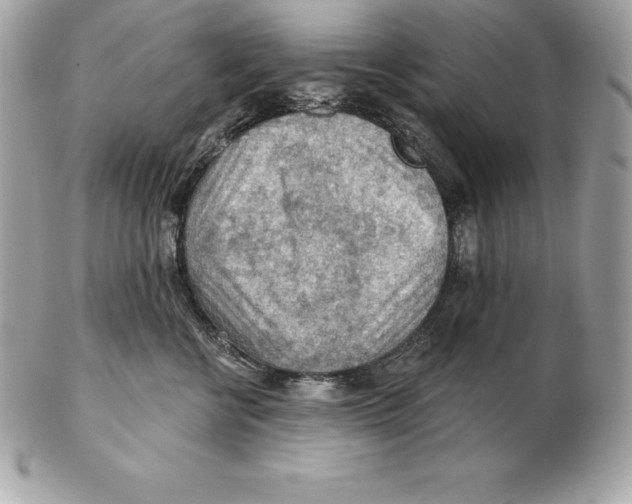 X0000102280570200808151931