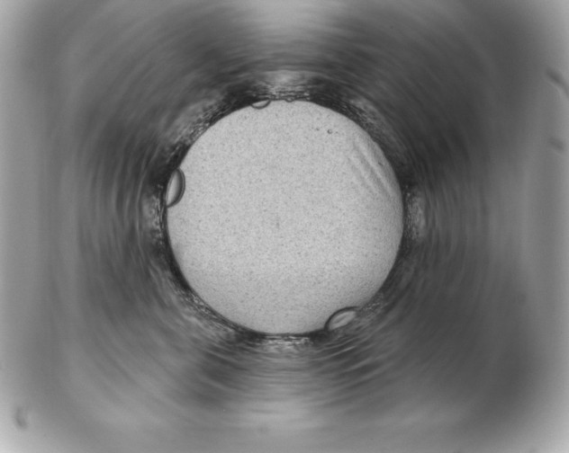 X0000102280571200808151931