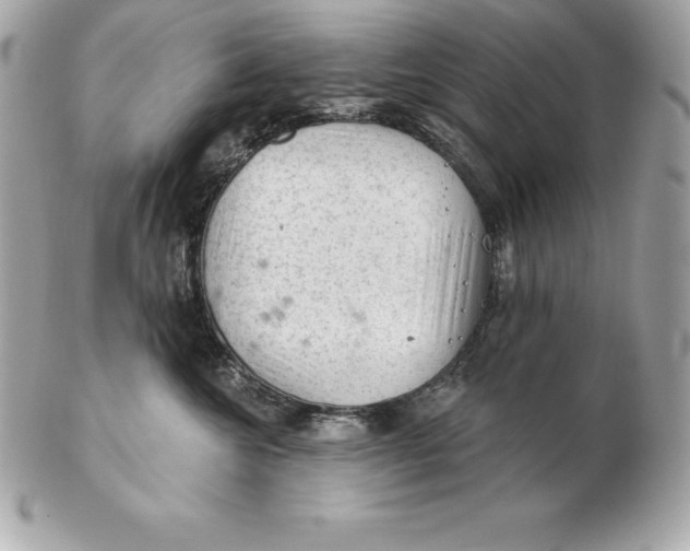 X0000102280572200808151931