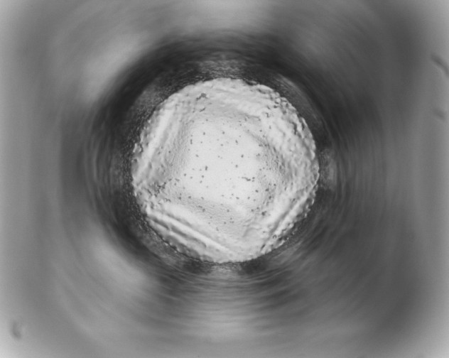 X0000102280573200808151931