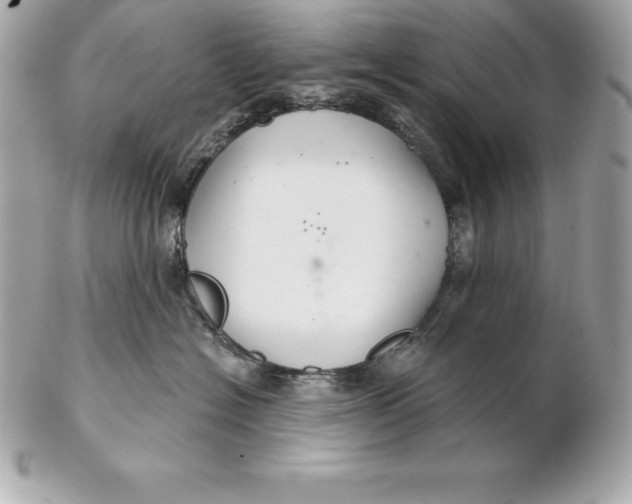 X0000102280574200808151931