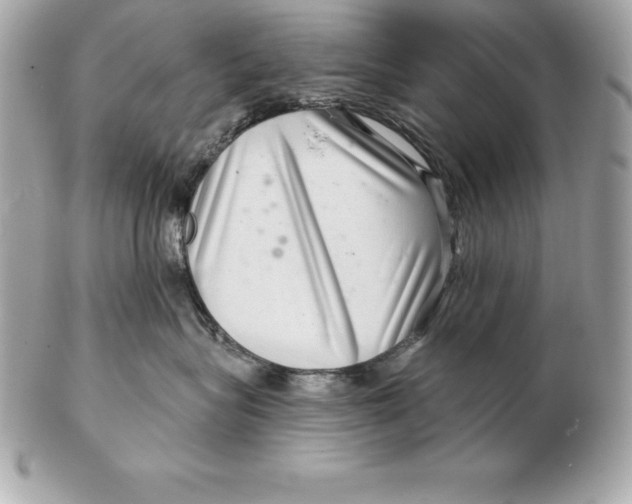 X0000102280575200808151931