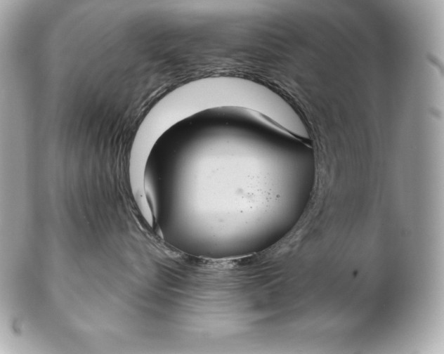 X0000102280576200808151931