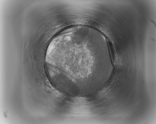 X0000102280577200808151930