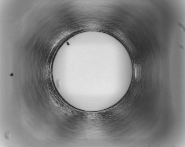 X0000102280579200808151930