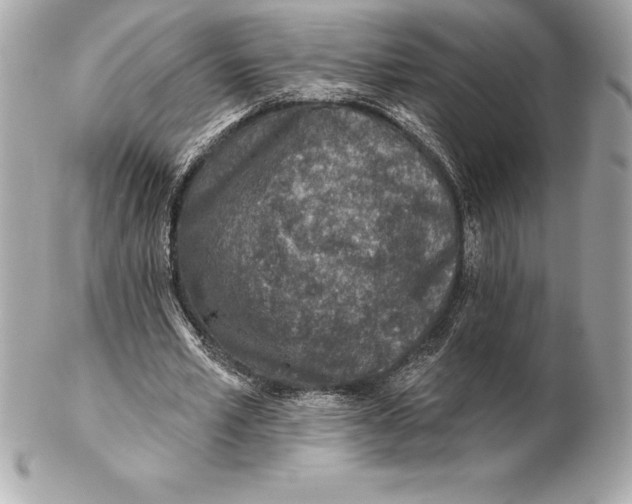 X0000102280581200808151930