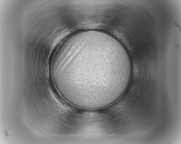 X0000102280582200808151930