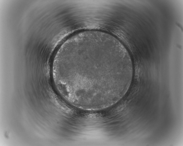 X0000102280584200808151930