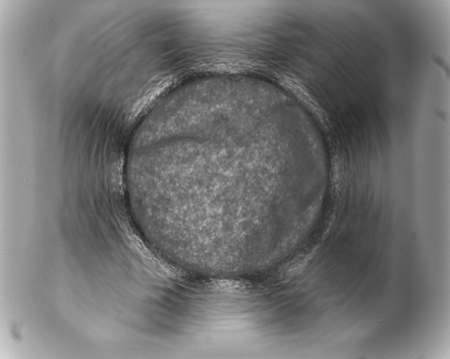 X0000102280585200808151930