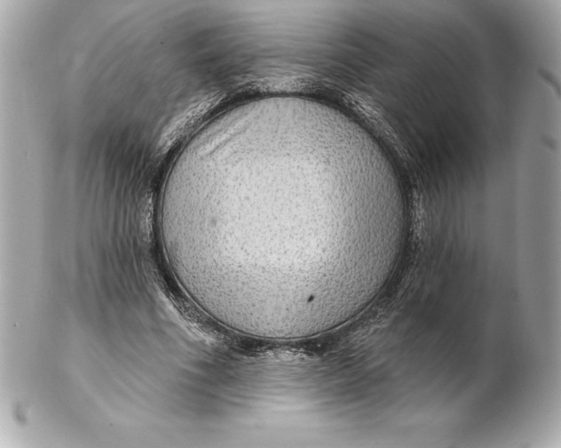 X0000102280586200808151930