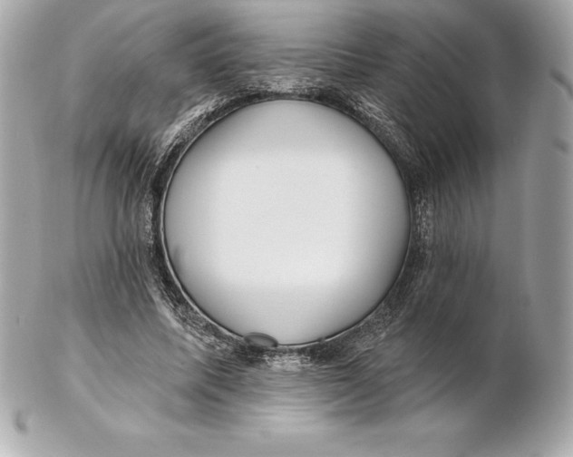 X0000102280587200808151930