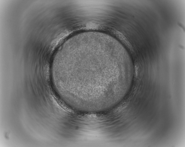 X0000102280588200808151930