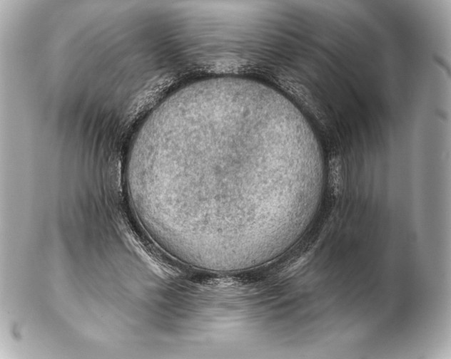 X0000102280589200808151930