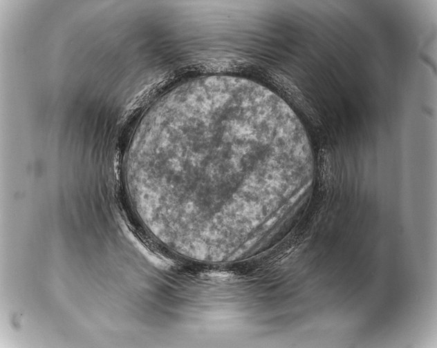 X0000102280590200808151930