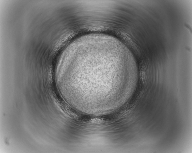 X0000102280591200808151930